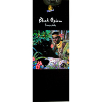 Kamini Incense Hex BLACK OPIUM 20 stick BOX of 6 Packets