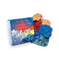 Grow Your Own Crystal Garden!