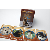 Paws To Reflect - Dog Guidance Cards - Individual Pack
