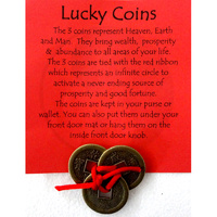 LUCKY COINS Large