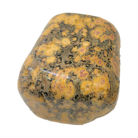 Jumbo Tumbled Stone LEOPARD SKIN