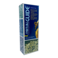 Padmini Incense Hex SPIRITUAL GUIDE 20 stick BOX of 6 Packets
