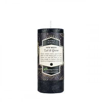 Astro Magic Candle NEW MOON Let It Grow
