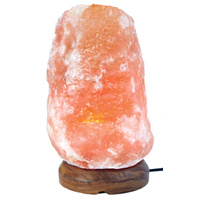 Salt Lamp NATURAL 2-3kg with Wooden Base, 24V Cord, & 10w Globe