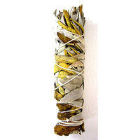 Smudge Stick YERBA SANTA Jumbo - Unpackaged 