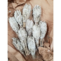 Californian White Sage Smudge MINI Sticks- Bulk pack of 10 UNPACKAGED