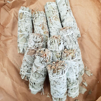 Californian White Sage SMALL Smudge Sticks 10 UNPACKAGED (Standard)