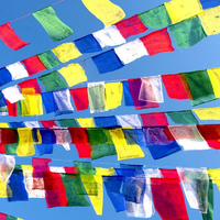 Tibetan PRAYER FLAGS LARGE Bulk 5 rolls