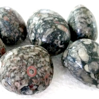 Tumbled Stones 200g CRINOID JASPER Bulk