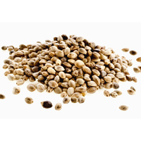 Vegetable Oil HEMP SEED BULK 1kg