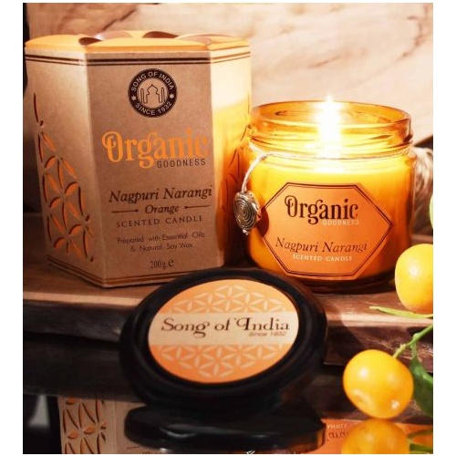 Organic Goodness Soy Candle ORANGE Nagpuri Nagangi in Amber Glass Jar