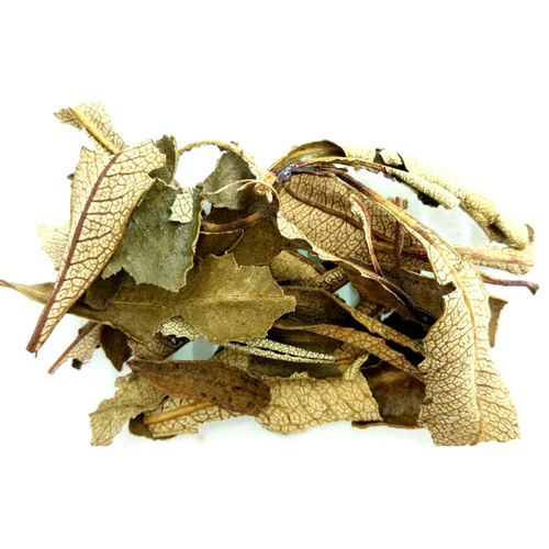 Herbs YERBA SANTA BULK 250g