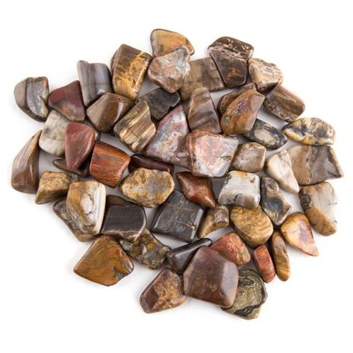 Tumbled Stones PETRIFIED WOOD 100g